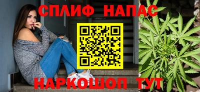 индика Кунгур