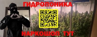 индика Кунгур